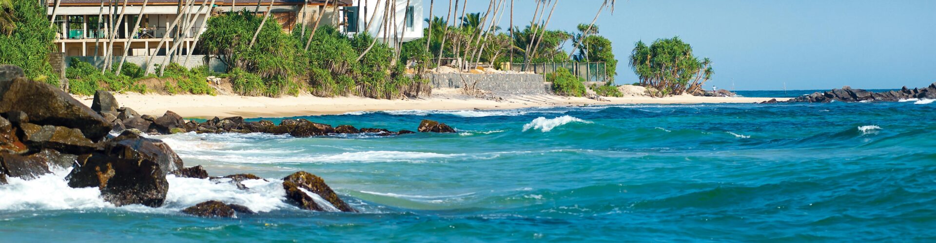 Serene Sri Lankan beach with palm trees and turquoise ocean waves.