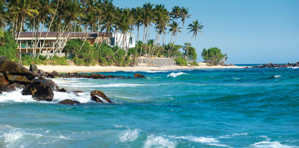 Serene Sri Lankan beach with palm trees and turquoise ocean waves.